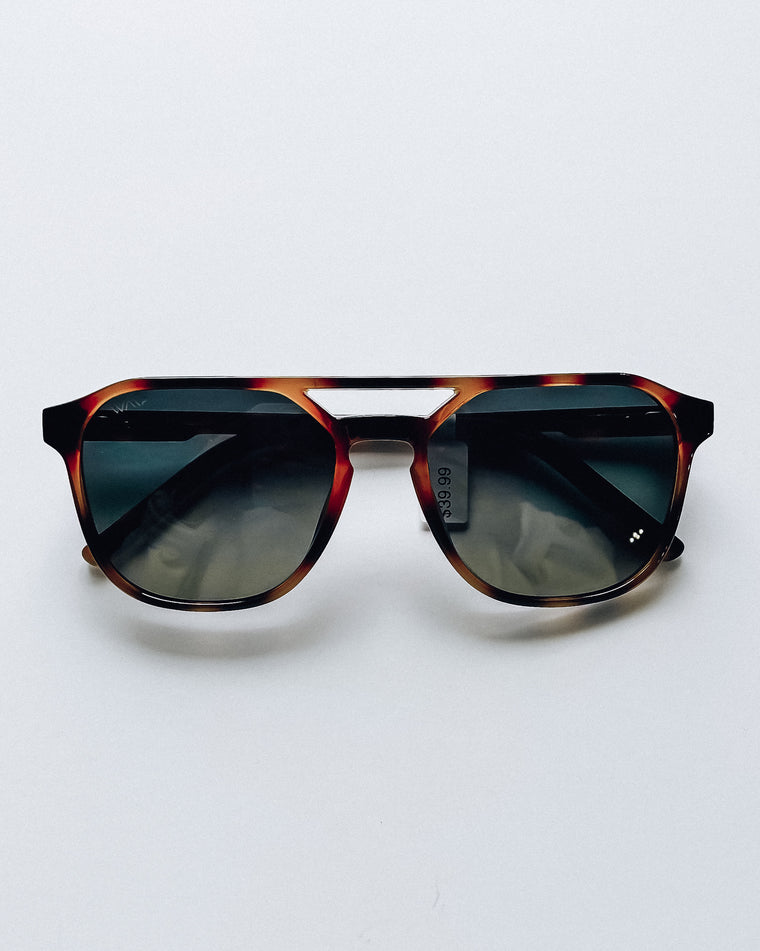 Hunter Sunglasses [brown tortoise]